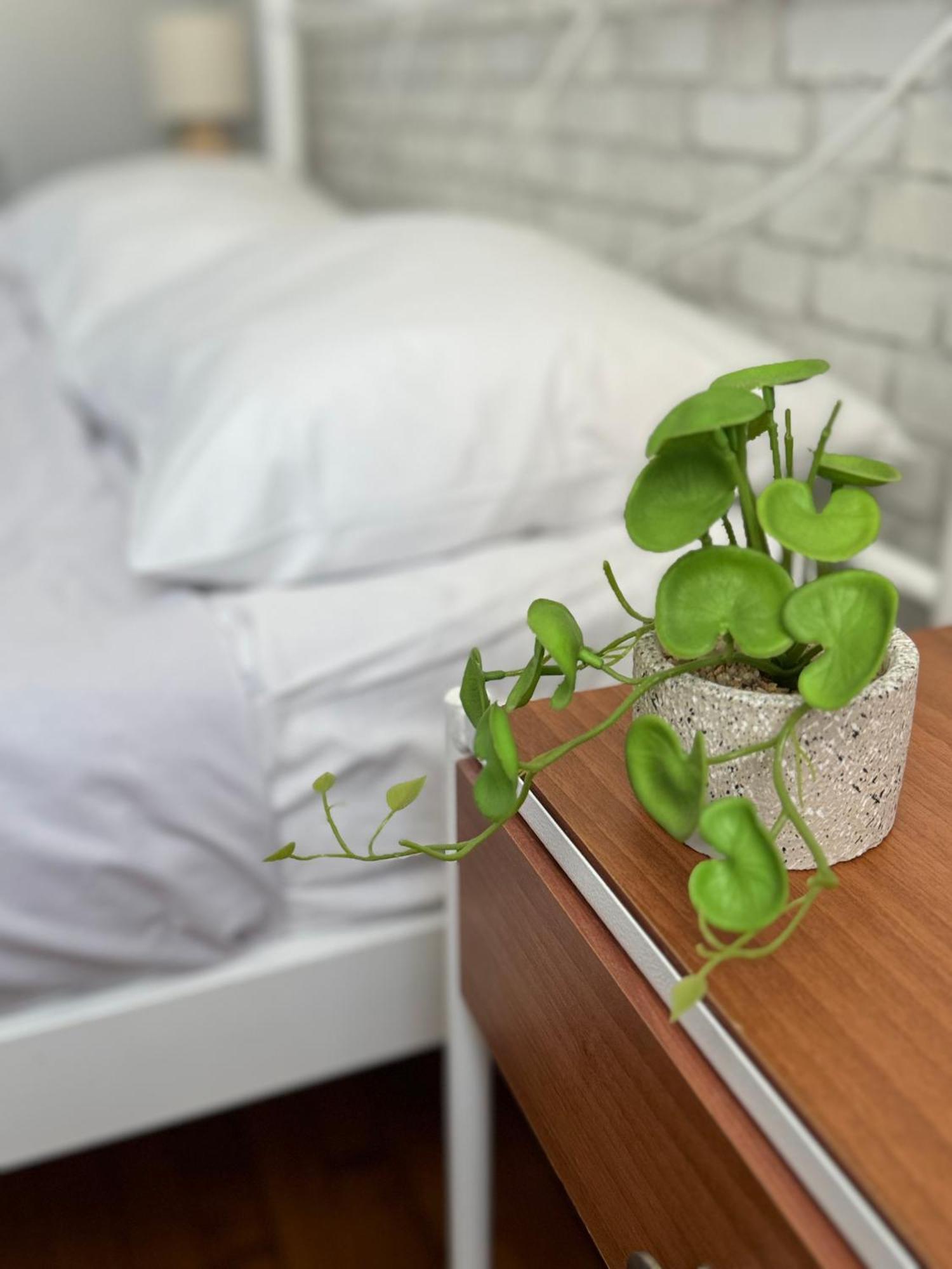 Cozy Suite With Acropolis View 雅典 外观 照片